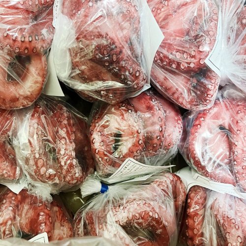 부드러운 자숙문어 10kg 16미 다용도 고급문어 업소용, 1박스