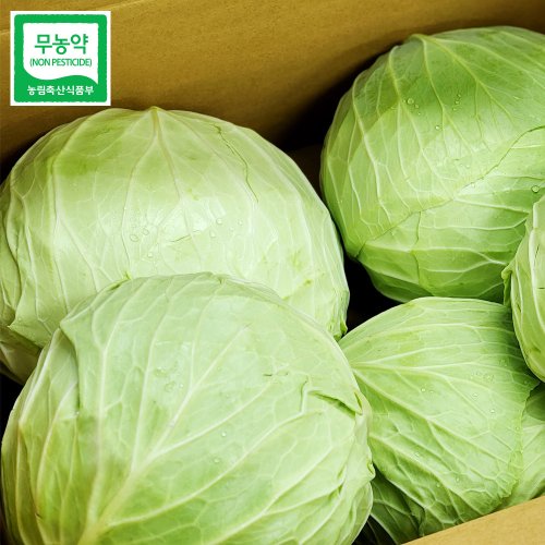 [울팜] 아삭 달달 국내산 친환경 양배추 무농약 유기농 제주 무안 밀양, 1박스, 3kg